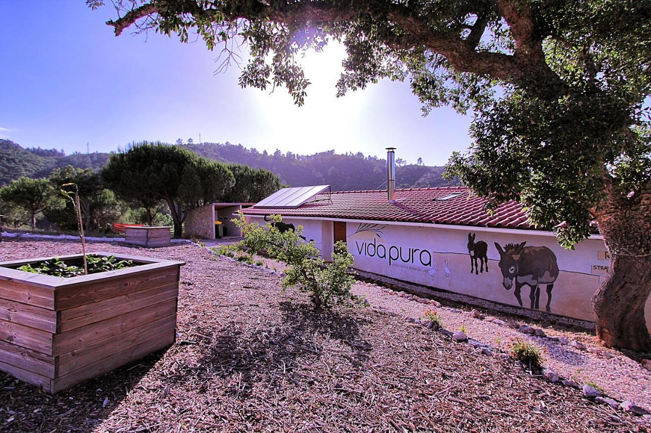 Vida Pura Apartments Odeceixe Esterno foto